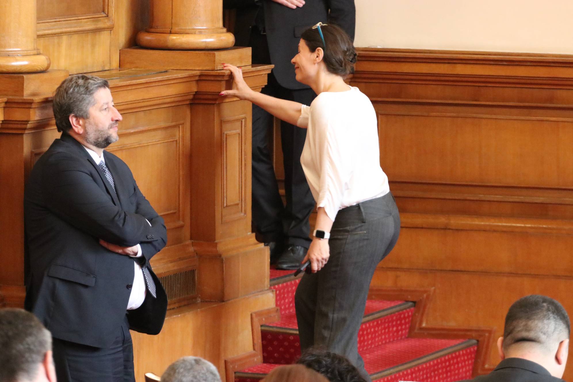  Елисавета Белобрадова, Демократична България 